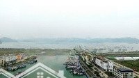 Bán Nhanh Lô Đất Mặt Biển.trên Bến Dưới Thuyền Hạ Long Liên Hệ: 0941 941 556