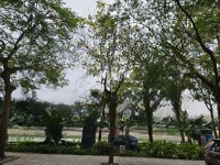 Bán Nhà Mặt Phố Trịnh Công Sơn, Tây Hồ - Nhà Cấp 4 X 120M2 - Giá Bán 89 Tỷ