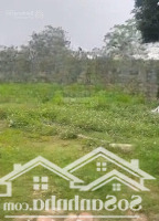 Bán 62M Đất Mặt Tiền Sen Phương Giá Tốt Cho Nhà Đầu Tư
