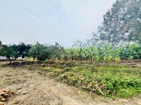 Bán Đất Tại Xã Ngọc Thanh, Phúc Yên, Vĩnh Phúc, 50,5 Tỷ, 24000 M2 Có Sổ Đỏ, Có Thể Phân Lô