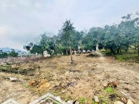 Bán Đất Tại Xã Ngọc Thanh, Phúc Yên, Vĩnh Phúc, 50,5 Tỷ, 24000 M2 Có Sổ Đỏ, Có Thể Phân Lô