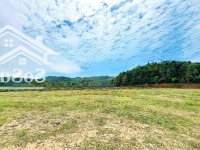 Bán Đất Tại Xã Ngọc Thanh, Phúc Yên, Vĩnh Phúc, 50,5 Tỷ, 24000 M2 Có Sổ Đỏ, Có Thể Phân Lô