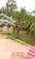 Bán Lô Đất Siêu Đẹp Tựa Sơn Hướng Thuỷ Gần Đền Hùng 6000M2 Giá Chỉ ~2. 5 Triệu/M2