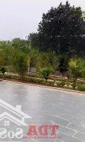 Bán Lô Đất Siêu Đẹp Tựa Sơn Hướng Thuỷ Gần Đền Hùng 6000M2 Giá Chỉ ~2. 5 Triệu/M2