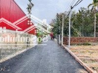 Đường Nhựa 4M Hòa Nghĩa, Dương Kinh Chỉ 1,45 Tỷ - Sau Nhà Mặt Đường 402.