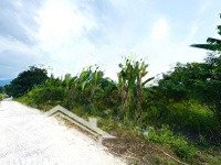 Đất An Toàn Cam Hiệp Nam 1004M2 Mặt Tiền 30M Có Thổ Cư, Sẵn Vườn Xoài Tơ Giá Chỉ 113 Triệu/M Ngang