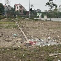 Bán Đất Đấu Giá Hương Mạc, Từ Sơn – Giao Thông Thuận Tiện, Sát Vin Liên Hà – Giá Cực Ưu Đãi!