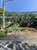 Ra Nhanh Lô Đất Đẹp Ngaymặt Tiềnđường Phước Long B, Thủ Đức, Gần The Global City, Shr, 135M2
