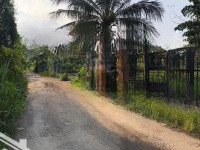 Bán Lô Đất Nông Nghiệp Gần 1 Sào (15,5X60M) Mặt Tiền Đường 11 Tam Bình,Cách Vành Đai 2 300M