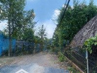 Bán Lô Đất Nông Nghiệp Gần 1 Sào (15,5X60M) Mặt Tiền Đường 11 Tam Bình,Cách Vành Đai 2 300M