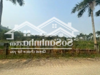 Chủ Cần Bán Nhanh Lô Đấtdiện Tích822M2 Tại Xóm Mái, Xã Yên Bài, Ba Vì, Hà Nội
