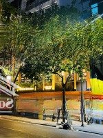 Cho Thuê Gấp Nhà Phố Tô Hiệu 100M X 3 Tầng Mặt Tiền 6M Đoạn Đẹp Nhất Phố Kinh Doanh Cực Đỉnh