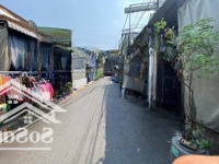 Bán Khẩn Cấp, Lô Đất 128,5M2, Đường Nhựa, Ngay Chợ Đoàn Thị Kia, P. Tân Đông Hiệp, Giá Chỉ 3,6Ty