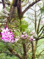 Cho Thuê Kho, Xưởng 85M2 Giá Bán 11 Triệu Tại An Dương, Yên Phụ, Tây Hồ, Hà Nội Bao Đẹp