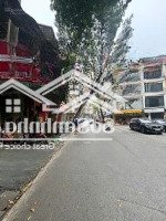 Bán Nhà Mặt Phố Hàng Lược Hoàn Kiếm Tt Phố Cổ Kinh Doanh Đỉnh Lô Góc 3 Thoáng Sổ Cực Vuông Đẹp