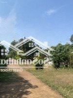 Cần Bán Nền Đất Xuân Lập, Long Khánh Giá Bán 850 Triệu Vớidiện Tích100M Full Tc Liên Hệ: 0384329615 Luyến