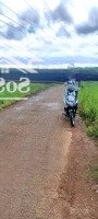 Giảm 300 Triệu, Cần Bán Lô Đất Thổ Cư 1120M2 Tại Tp Bảo Lộc