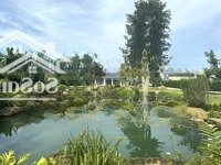 Giảm 300 Triệu, Cần Bán Lô Đất Thổ Cư 1120M2 Tại Tp Bảo Lộc