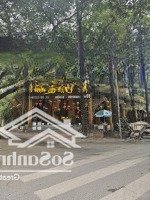 Siêu Phẩm Mb Phố Ô Chợ Dừa 500M 2 Mặt Tiền 11M Chỉ 200 Triệu Sang Nhượng Nhà Hàng Lẩu Nướng Bbq Full Đồ