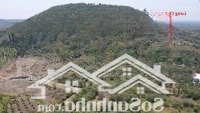 Đất Triền Đồi View Nào Cũng Đẹp Làm Glamping Hay Nghỉ Dưỡng