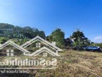 Đất Triền Đồi View Nào Cũng Đẹp Làm Glamping Hay Nghỉ Dưỡng