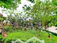 Bán Nhà Quận 8,Mặt Tiền Tạ Quang Bửu 78M2 4 Tầng Nhỉnh 17 Tỷ Kinh Doanh Sầm Uất 4 X 19,5