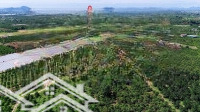 Tân Văn- Lâm Hà- Lâm Đồng Chỉ Từ 249 Triệu Sở Hữu Lô Đất Gần 200M2 Sẵn 802M Thổ Cư Kdc View Rất Chill
