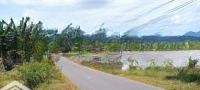 Bán Gấp Đất Tại Thành Hồ, Diên Phước, Diên Khánh, Khánh Hòa, 1,35 Tỷ, 200M2