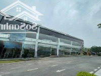 Cđt Chào Thuê Showroomdiện Tích5000M2 - Mặt Tiền 50M - Xây Dựng Sẵn. Phố Auto, Showroom, Đất Tmdv