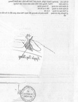 Nhà Mặt Tiền Kinh Doanh Hoàng Văn Thụ - Chánh Nghĩa - Thủ Dầu Một - Bình Dương