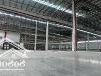 Cho Thuê Nhà 22.000 M2 Xưởng Ở Cụm Công Nghiệp Hải Dương (Giá Rẻ)