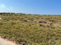 1 Lô Duy Nhất 96M2 Thổ Cư Hàm Thắng - Phan Thiết Chỉ 490 Triệu