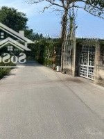 Lô Đất Cần Ra Gấp Giúp Chủ 124M2/ 780 Triệu Nằm Sau Chợ Bến Lớn Tân Định Bến Cát Ss Công Chứng Ngay