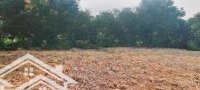 Hàng Ngon Bổ Rẻ Nhất Huyện Lương Sơn, Hòa Bình, Giá Cực Chất 1 Triệu / M2, 4000 M2