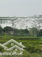 Bán 4000M Có 300M Thổ Cư Tại Tân Lạc Giá Chỉ 9Xx Triệu