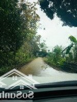 Bán 4000M Có 300M Thổ Cư Tại Tân Lạc Giá Chỉ 9Xx Triệu