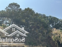 Lô Đất Biệt Lập Kqh An Sơn 300M2 Nở Hậu Đều View Thông Thoáng Mát
