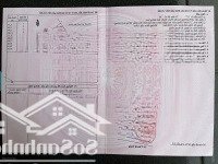 Chủ Cần Cắt Lổ Lô Đất Phú Đông Ngay Sát Đường Cát Lái.