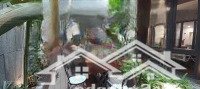 Duy Nhất 1 Căn Biệt Thự Vườn Quận Ba Đình - Mặt Tiền Khủng 12M2 - Diện Tích 357M2