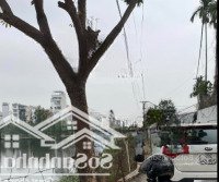 Phố Tây - 4 Mặt Thoáng - Cư Dân Tỉ Phú - Hoa Hậu Khuất Bên Hồ Hàng Hiếm, Đặc Biệt, Giá Tốt Đầu Tư