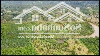 Bán Đất 2 Mặt Tiền Giáp Suối To, Ô Tô Vào Tận Nơi Gần Kề Ql20 , Xã Lộc An, Bảo Lâm, Lâm Đồng