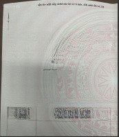 Bán Đất / Nguyễn Tri Phương, Chánh Nghĩa Mặt Tiền Nhựa 5X22M Thổ Cư 60M2, Giá Chỉ 2.8 Tỷ