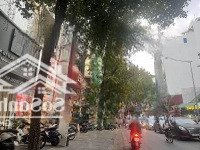 (Giảm 5 Tỷ Bán Gấp) Nhà Kinh Doanh Mặt Phố Lò Đúc - Hai Bà Trưng, Vỉa Hè Rộng, 115M2, 40 Tỷ