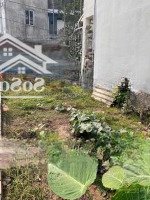 Bán Đất Phúc Đồng Ngõ Thông Oto 7 Chỗ Ra Vào. Xây Nhà 6 Tầng Thang Máy Gara Oto. Không Quy Hoạch