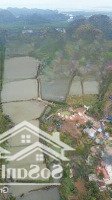 Bán Lô Đất Rộng Tại Phù Long Cát Bà, Sổ 790 M, Thực Tế Hơn 1000 M, Phù Hợp Nghỉ Dưỡng, Homestay
