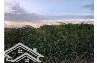 Bán Đất Yên Mỹ, Thanh Trì Ô Tô Đỗ Cửa Diện Tích 290M2 Giá Bán 1.75 Tỷ