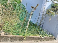 Bán Đất 58M2 Tại Đường 32, Đức Thượng, Hoài Đức, Hà Nội, 3,65 Tỷ