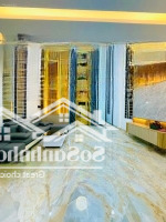 Bán Nhà Riêng 50M2 Nguyễn Văn Cừ, Thang Máy, Full Nội Thất, Trung Tâm Phố, An Sinh Tuyệt Vời