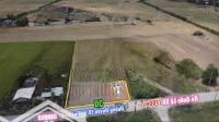 3109M2 Có 300 Thổ Cư Cách Ql50 200M