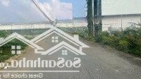 Đất Nền Khu Dân Cư Tân Đức, 5X25 Thổ Cư, Khu Vực Đang Hot Nhất Thị Trường